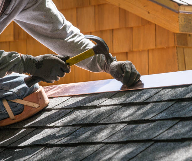 Best Roof Gutter Cleaning  in Matteson, IL